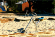 Детский песочный экскаватор Ложка GK0948